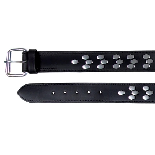 Trixie Hundehalsband Mit Nieten Für Mittlere Bis Große Hunde 3 Trixie Hundehalsband Mit Nieten Für Mittlere Bis Große Hunde – Bild 3