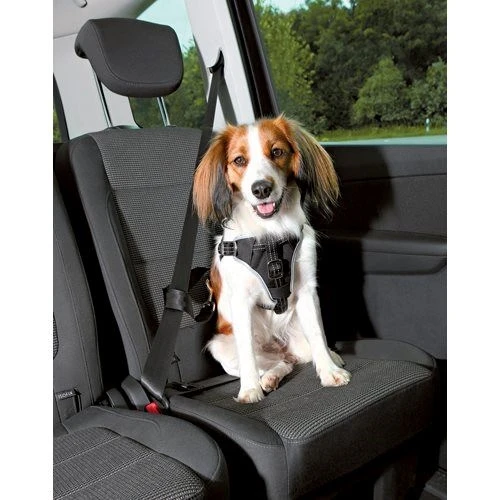 Trixie Schützendes Sicherheitsgeschirr Für Hunde Von 40 Bis 55 Cm 1 Trixie Schützendes Sicherheitsgeschirr Für Hunde Von 40 Bis 55 Cm