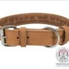 Trixie Fettleder Hundehalsband Heartbeat Braun