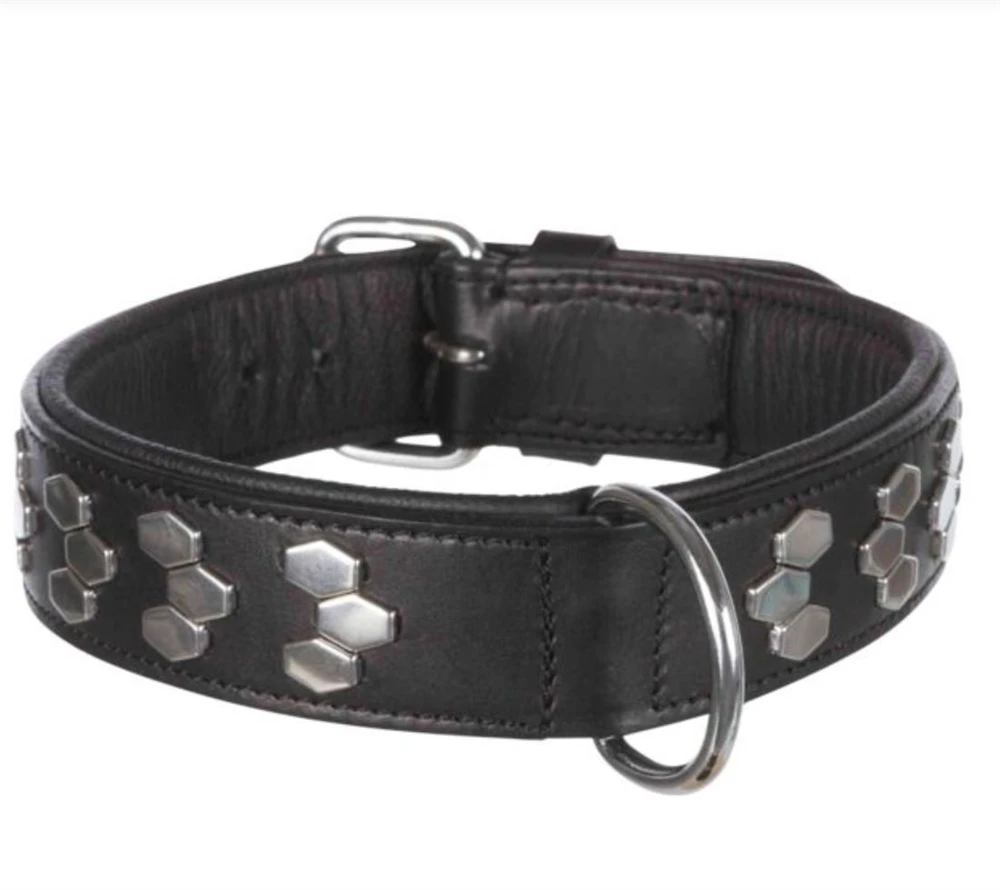 Trixie Hundehalsband Mit Nieten Für Mittlere Bis Große Hunde 2 Trixie Hundehalsband Mit Nieten Für Mittlere Bis Große Hunde – Bild 2