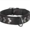 Trixie Hundehalsband Mit Nieten Für Mittlere Bis Große Hunde