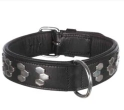 Trixie Hundehalsband Mit Nieten Für Mittlere Bis Große Hunde