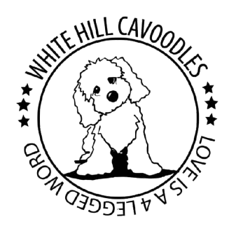 WoofyMart Verkaufsladen